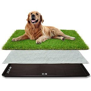 Large Dog Grass Potty Patch for Indoor/Outdoor Use
