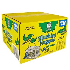 Bluebird Suet Nuggets Mega Box, 8 Pounds