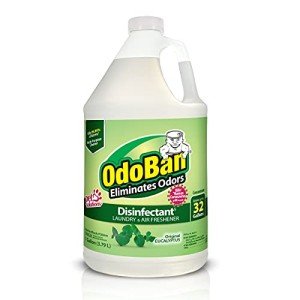 OdoBan Multipurpose Cleaner - Eucalyptus Scent, 1 Gallon