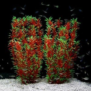 Extra Large 21" Artificial Aquarium Plants Set