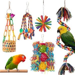 5-Pack Bird Toys for Parakeets & Cockatiels