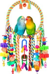 Colorful Bird Swing and Chewing Toys Set