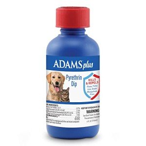 Adams Plus Flea and Tick Dip for Pets