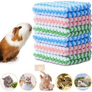 Guinea Pig Soft Blankets and Small Animal Mats