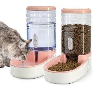 Pet Feeder and Water Dispenser Set - Pink