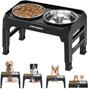 Adjustable Elevated Dog Bowls with No Spill Edge