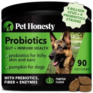 Pet Honesty Dog Probiotics for Gut Health