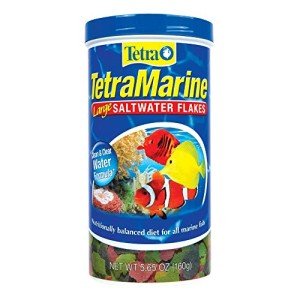 Nutritionally Balanced Large Saltwater Fish Food