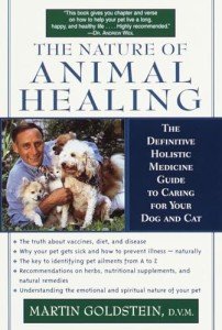 Holistic Healing Guide for Dogs and Cats