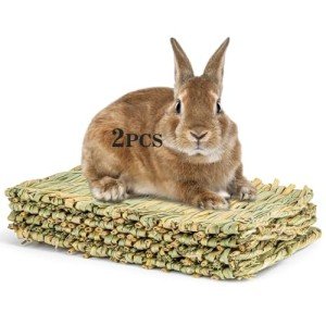Natural Rabbit Grass Mats for Small Pets - 2 PCS