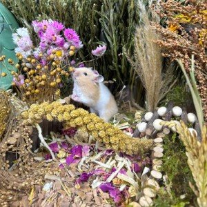 Natural Edible Flower & Herb Bedding for Hamsters