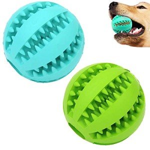 Sunglow 2 Pack Bite-Resistant Dog Toy Balls