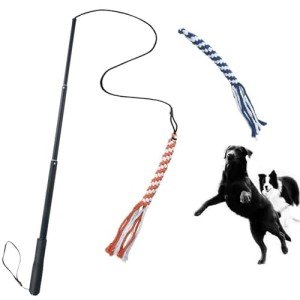 ASOCEA Extendable Dog Teaser Wand Toy