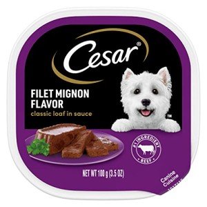 Cesar Filet Mignon Wet Dog Food, 24 Trays