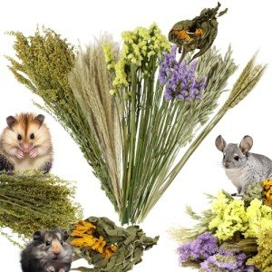 VOKOY Natural Flower & Herb Bedding Habitat Decor, Flower Hamster Bedding Cage Accessories Natural Theme Cage Decoration for Small Animals Gerbils Mice Parrots Hedgehogs Chinchillas Squirrels