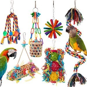 Colorful 6 Pack Bird Chewing and Foraging Toys