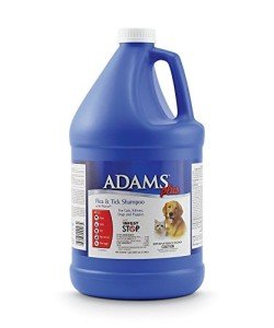 Adams Plus Flea & Tick Shampoo for Pets