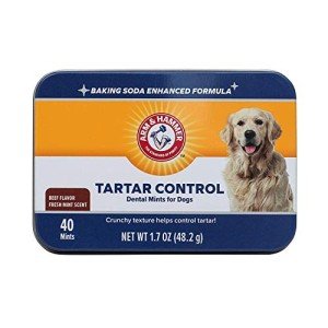 Arm & Hammer Tartar Control Dog Dental Mints, Beef