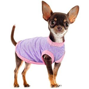 Stylish Moisture-Wicking Dog Vest for All Breeds