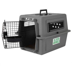 Petmate Sky Kennel - IATA Approved Pet Carrier