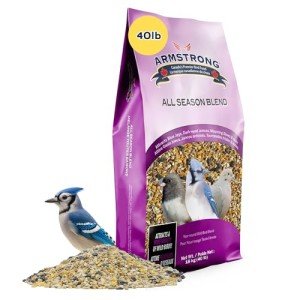 All Season Bird Seed Blend for Wild Birds