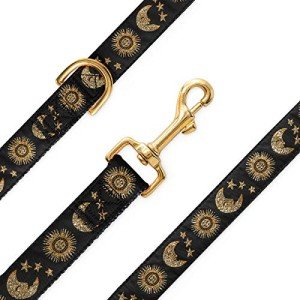 Celestial Design Dog and Cat Collar Set