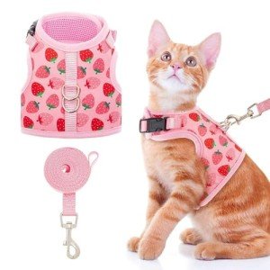 BINGPET Escape-Proof Cat Harness and Leash Set