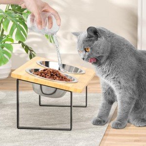 Tilted Bamboo Cat Bowls with Stainless Steel Dishes