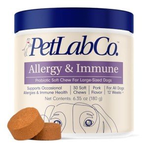 Daily Probiotics for Dogs: Allergy & Immune Support