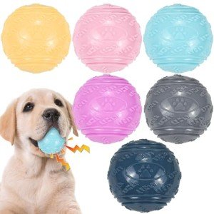 6 Pack Squeaky Dog Balls for Interactive Play