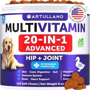 Dog Multivitamin Chews with Glucosamine - 120 Count