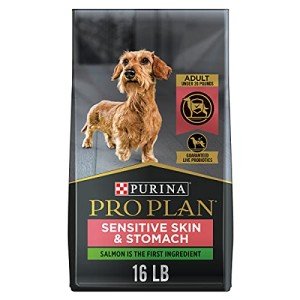 Purina Pro Plan Salmon & Rice Dog Food 16 lb