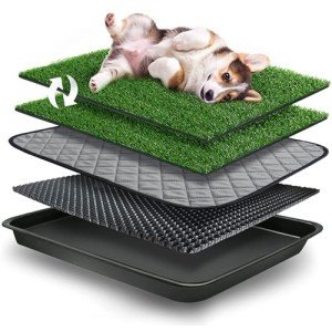 GoldOuya Pet Potty Grass Mat with Tray