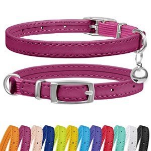 CollarDirect Leather Cat Collar with Bell - Kitten Collar, Small and Big Cat Collar for Boy Cats, Girl Cats with Safety Elastic Strap (Neck Fit 8"-11", Pink)