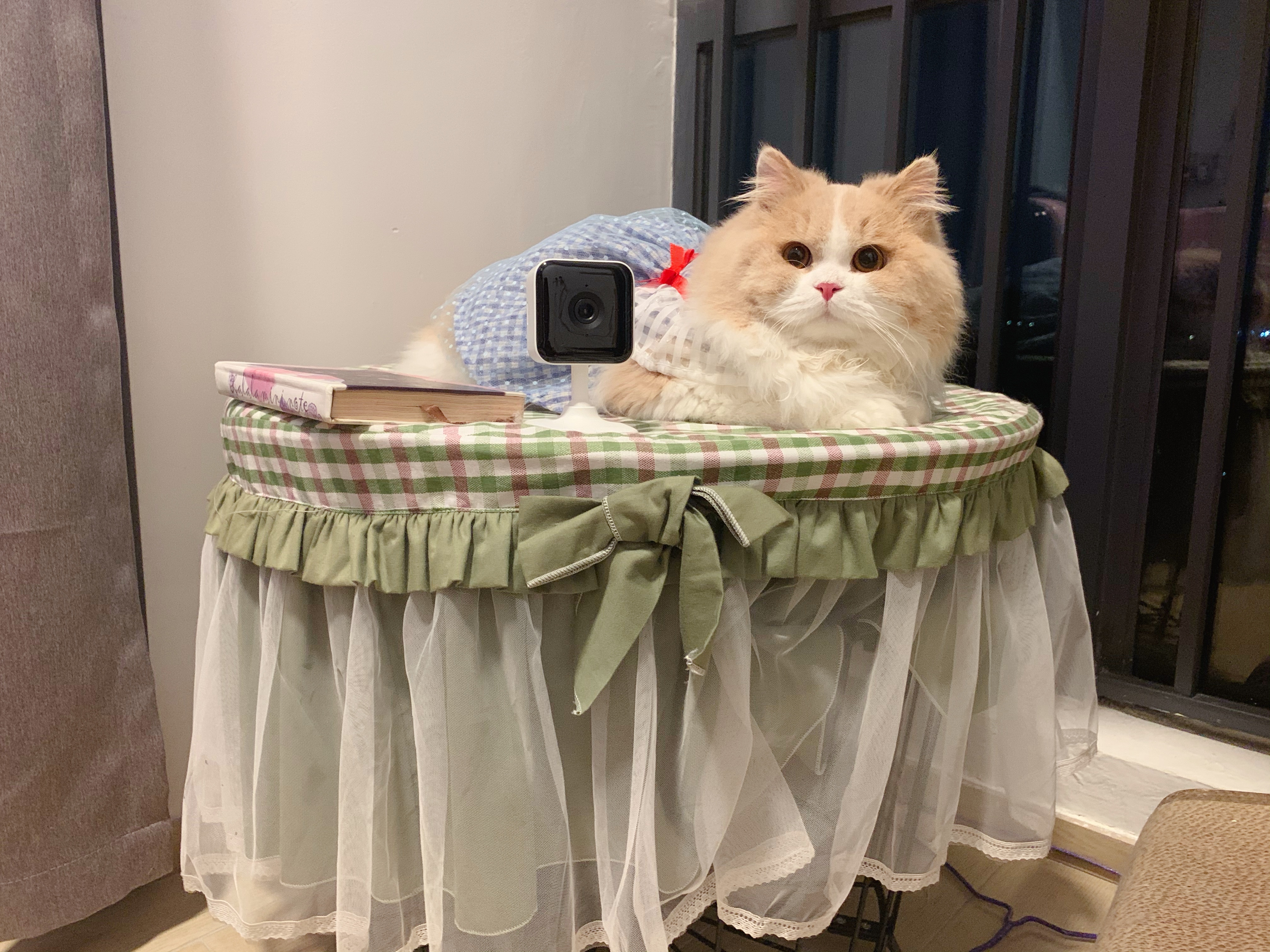 Teckin Indoor Wi-Fi Security Camera, 2 Pack