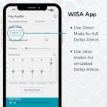 Platin Monaco 5.1 Wireless Home Theater System