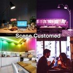 DAYBETTER Wi-Fi Color Changing Smart Light Bulbs