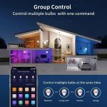 Smart LED Light Bulbs for Alexa & Google Assistant