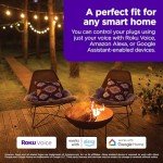 Roku Outdoor Smart Plug - Weather-Resistant WiFi Control