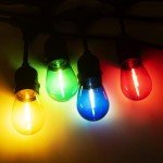 16-Pack Multi-Color Edison LED String Bulbs