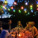 16-Pack Multi-Color Edison LED String Bulbs