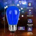 16-Pack Multi-Color Edison LED String Bulbs