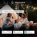 Outdoor Smart Plug 2 Pack with Voice Control