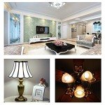 Color Changing LED Bulbs with Remote Control (2 Pack)