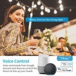 Waterproof Outdoor Smart Plug with Remote Control