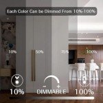 Smart RGBW Light Bulbs, Dimmable, Alexa Compatible