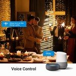 Smart WiFi Yard Stake Plug with 6 Outlets