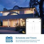 Outdoor Smart Plug with Dual Outlets, WiFi Enabled