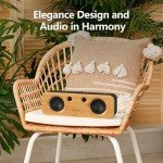 DOSS H200 50W Bluetooth Speaker - Powerful Sound