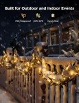 Govee Smart RGBIC Christmas String Lights 66ft